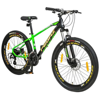 Pegaz 27.5T 24 Speed